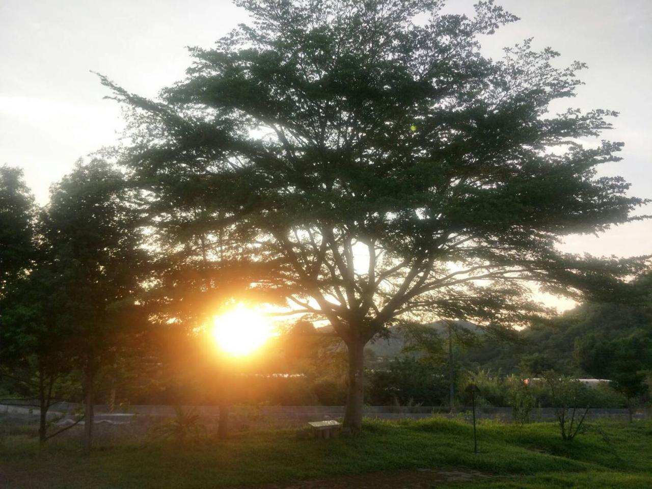 556 Homestay Danei Esterno foto
